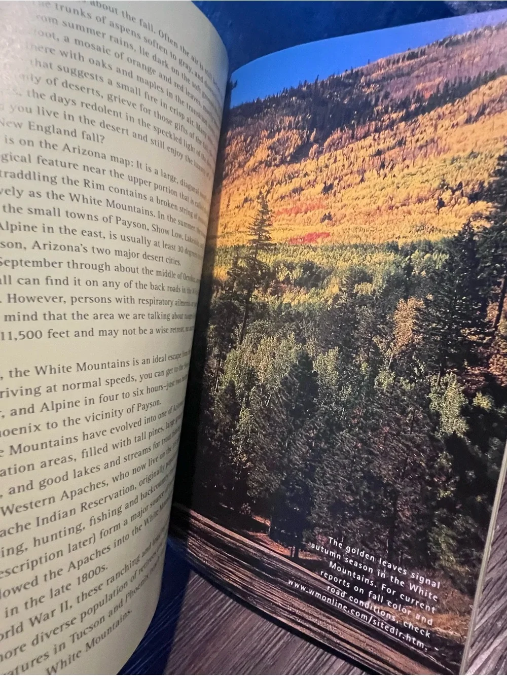 Arizona Highways The Back Roads 40 Scenic Trips, Info, Maps, Photos